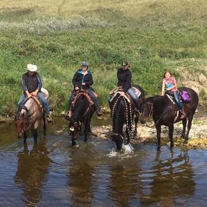 Meet your Posher, Delaney